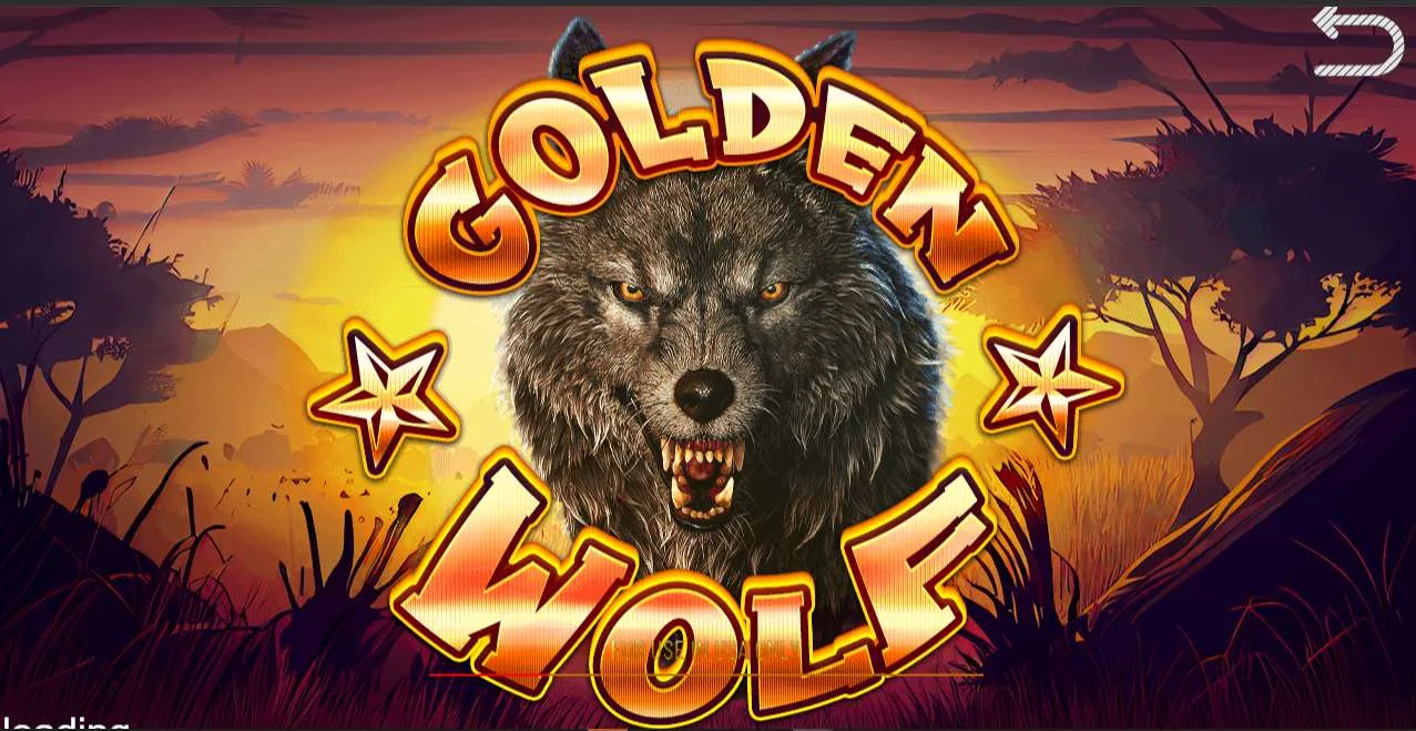 Golden Wolf 7